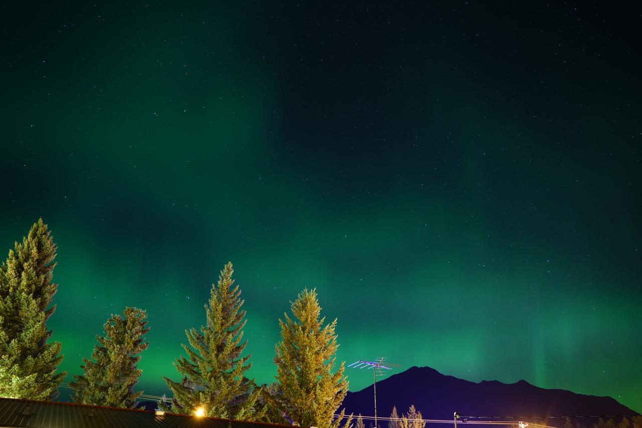 Yellowhead Motel เวลเมาท์ ภายนอก รูปภาพ